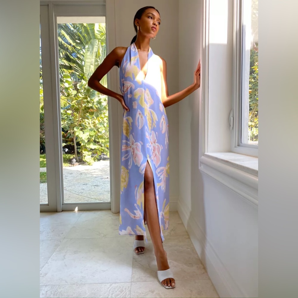 Aritzia wedding guest gown